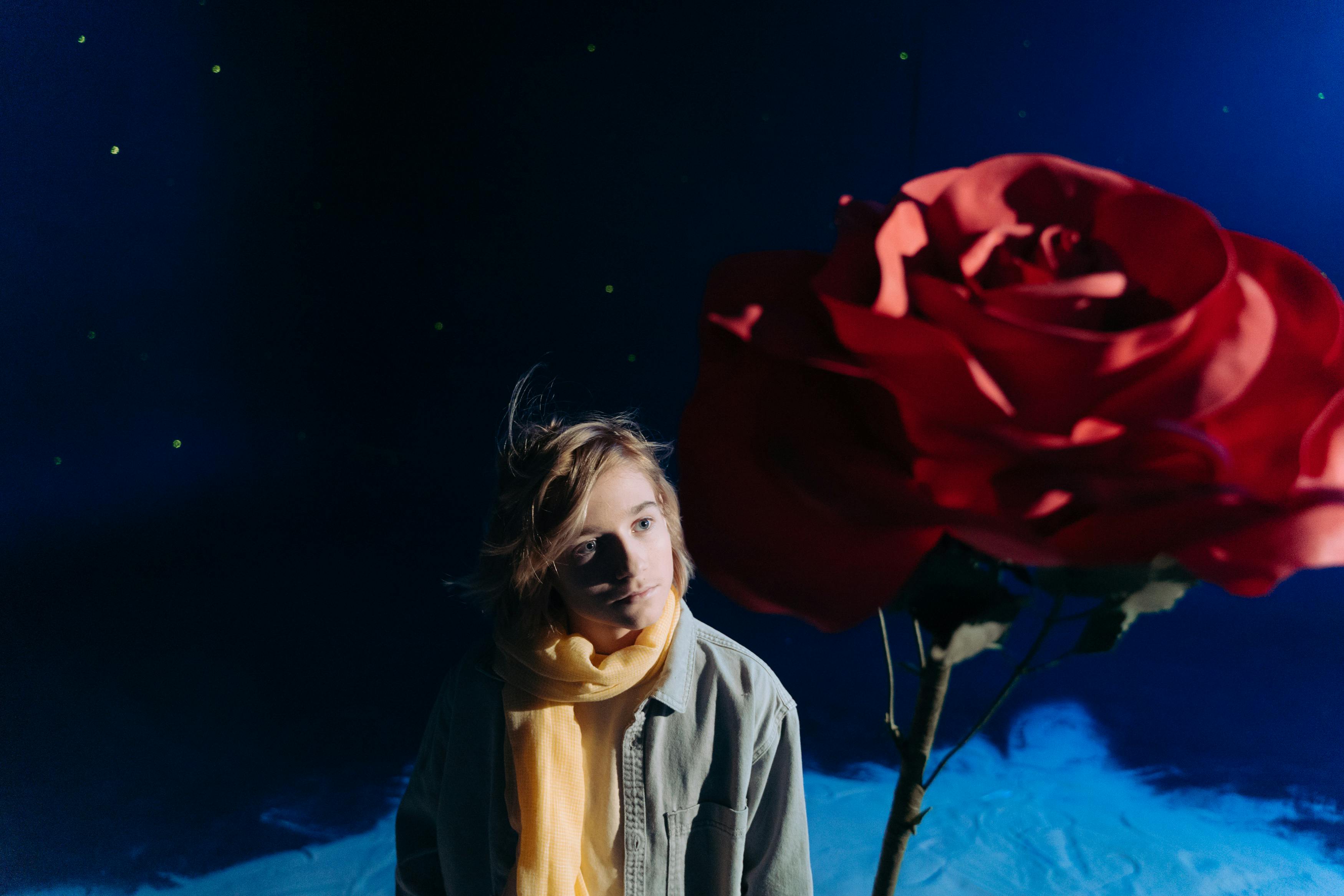 Free A young boy in costume standing beside a large red rose, reflecting The Little Prince theme. Stock Photo