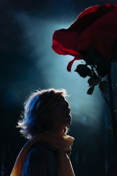 A young man in silhouette gazes at a large red rose against a dramatic dark background.