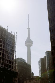 Famous tall CN observation tower located against cloudless sky near residential houses on sunny street in Toronto city in Canada