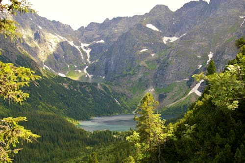 Foto profissional grátis de água, alpino, árvores