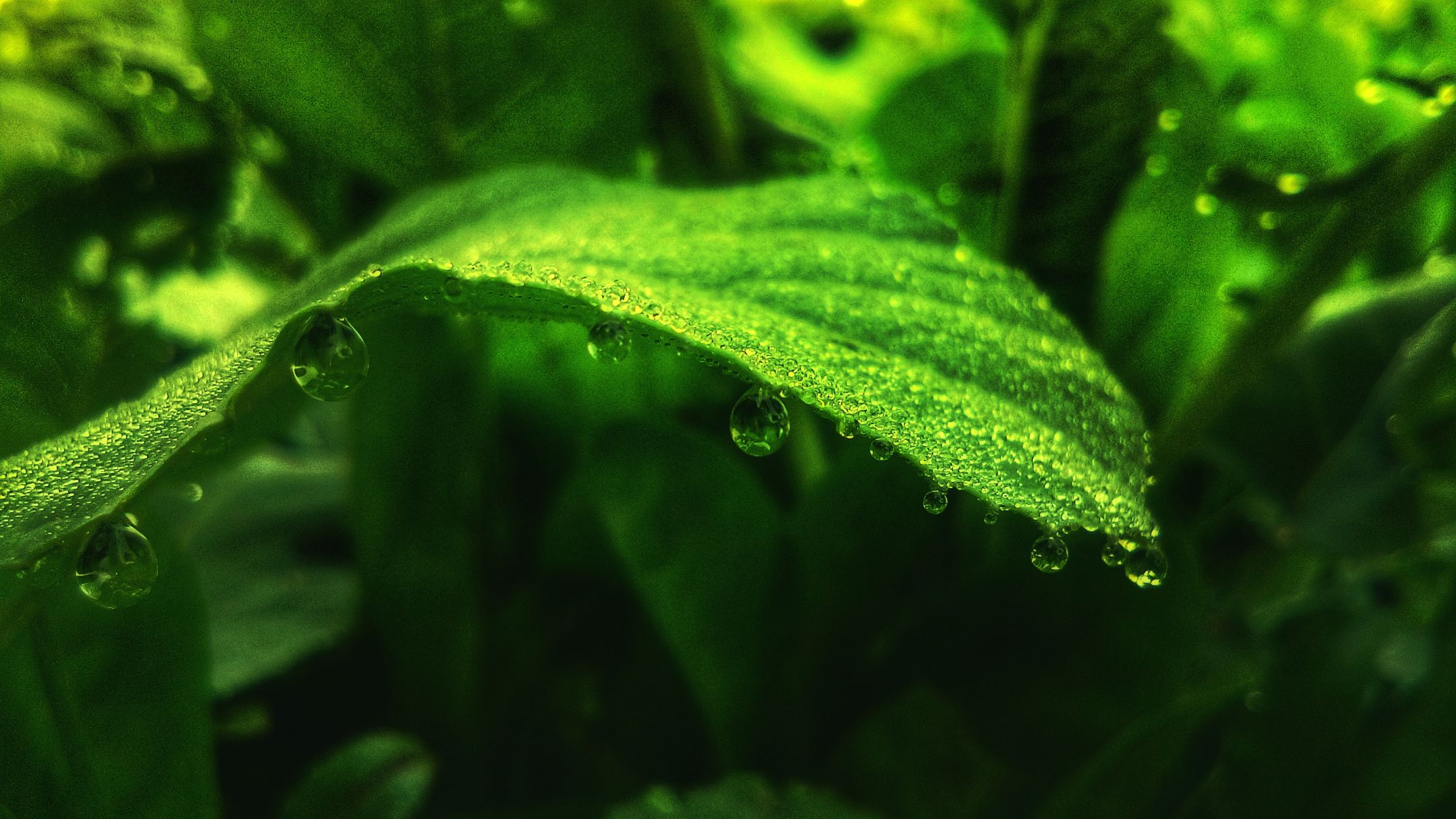 Free Stock Photo Of Blue Waters Colour Dark Green