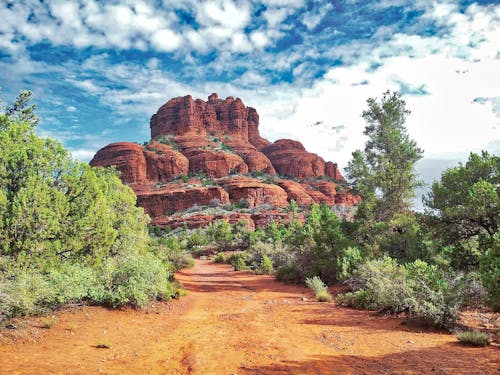 Foto d'estoc gratuïta de a l'aire lliure, arbres, arizona