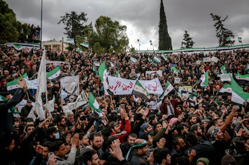 aktivizm, bayraklar, bir araya gelmek içeren Ücretsiz stok fotoğraf