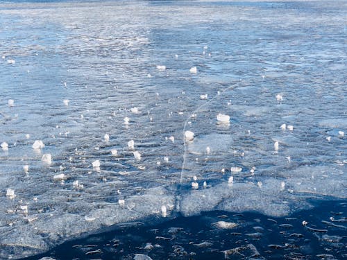 Fotos de stock gratuitas de agua congelada, al aire libre, clima frío