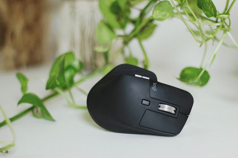 Black wireless mouse on a desk, surrounded by leafy green plants for a natural workspace vibe.