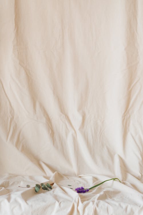 Бесплатное стоковое фото с белый текстиль, белый фон, вертикальный выстрел
