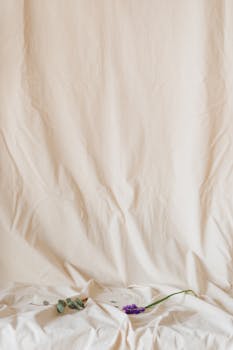 Elegant minimalist floral setup on white fabric evokes a sense of tranquility and artistic expression.