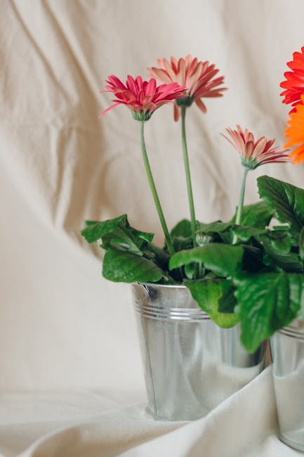 80,000+ Best Flower Pot Photos · 100% Free Download · Pexels Stock Photos