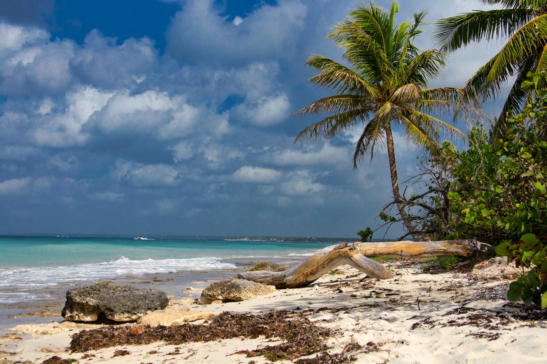 Scenery of a Relaxing Beach