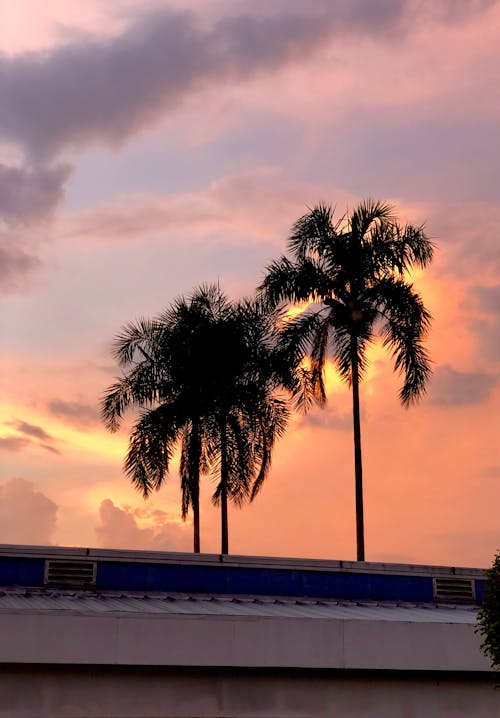 哥伦比亚, 夕阳的颜色, 日落 的 免费素材图片