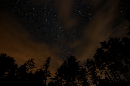 무료 밤, 별, 어두운의 무료 스톡 사진