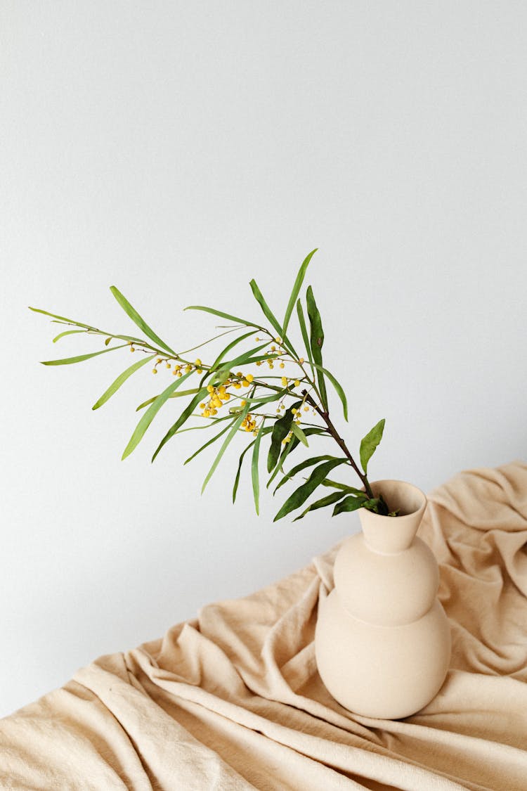 Green Plant In Beige Ceramic Vase