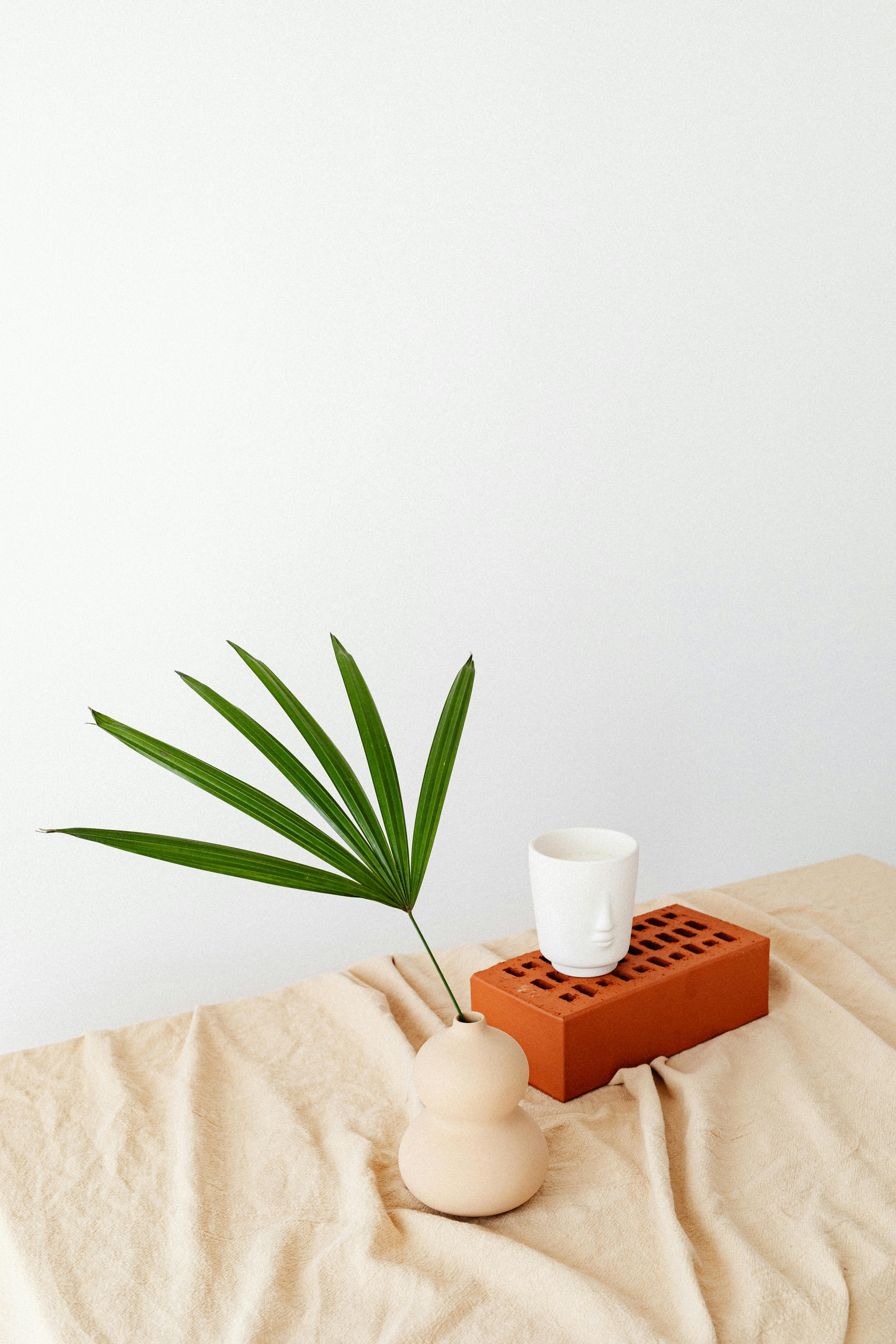 A minimalist still life featuring a ceramic vase with a palm leaf and a white cup on a terracotta block against a clean background.