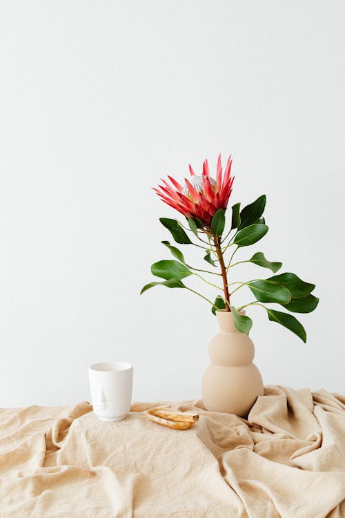 A Red Flower in a Ceramic Vase 