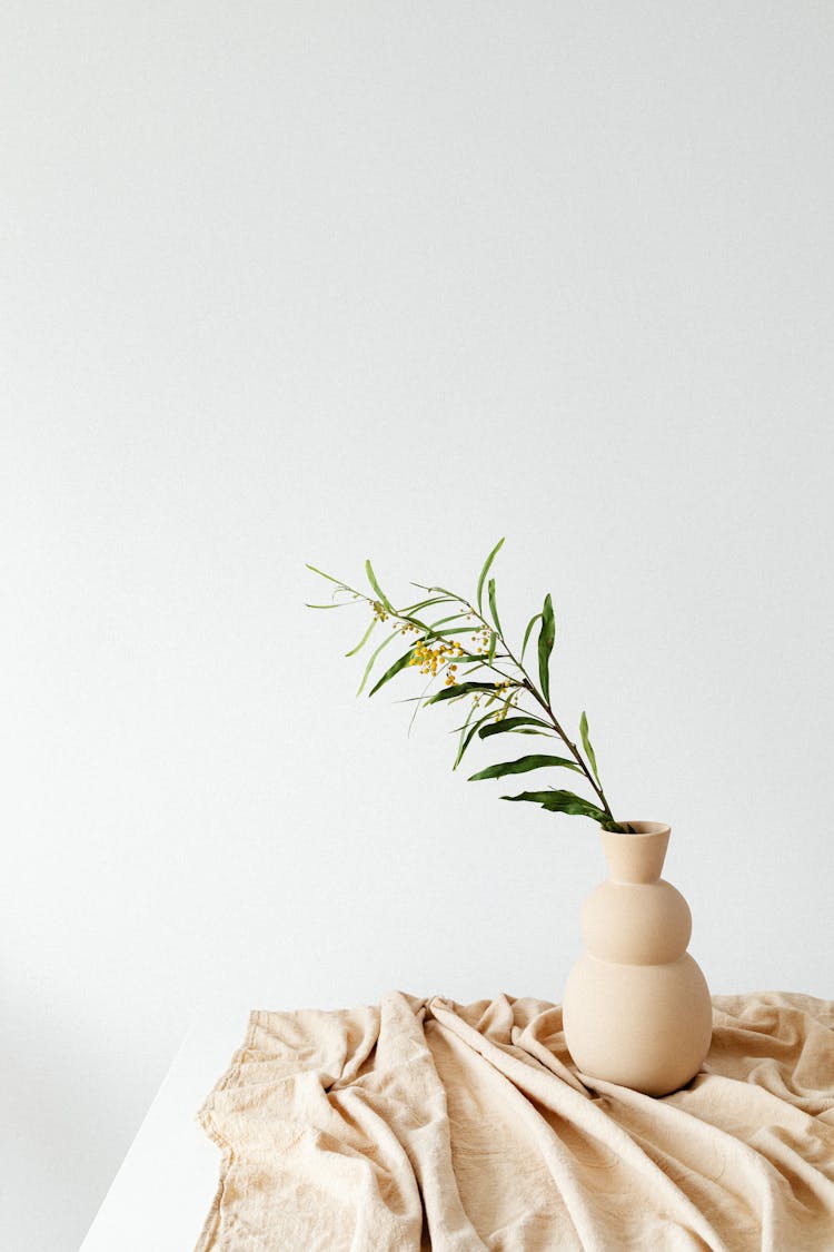 Plant In A Ceramic Pot On Textile