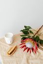 White Ceramic Mug Beside Red and White Flower Bouquet