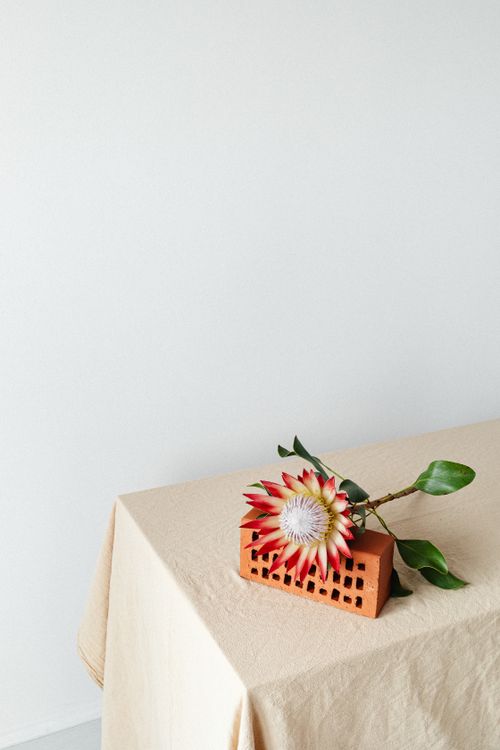 Free A minimalist still life featuring a protea flower with green leaves resting on a brick on a beige tablecloth. Stock Photo