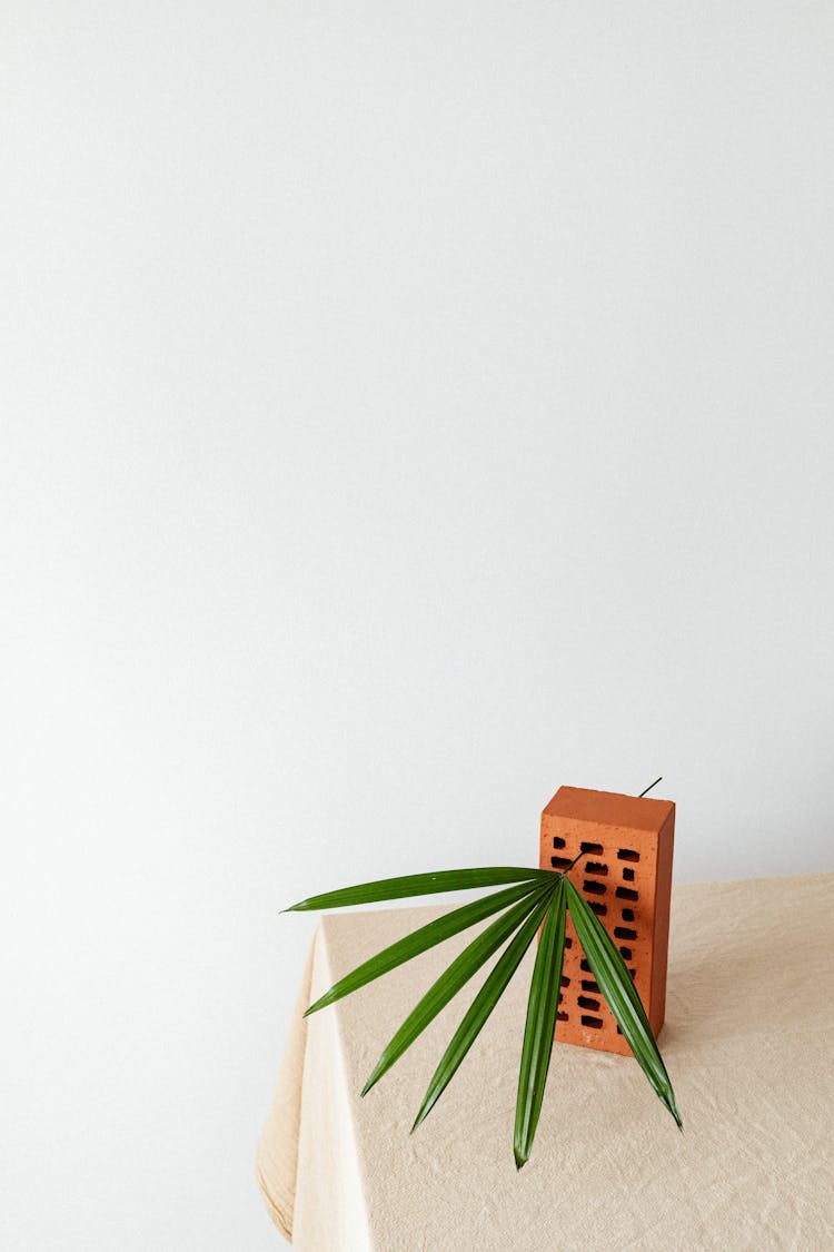 Green Plant Leaf On Orange Clay Brick