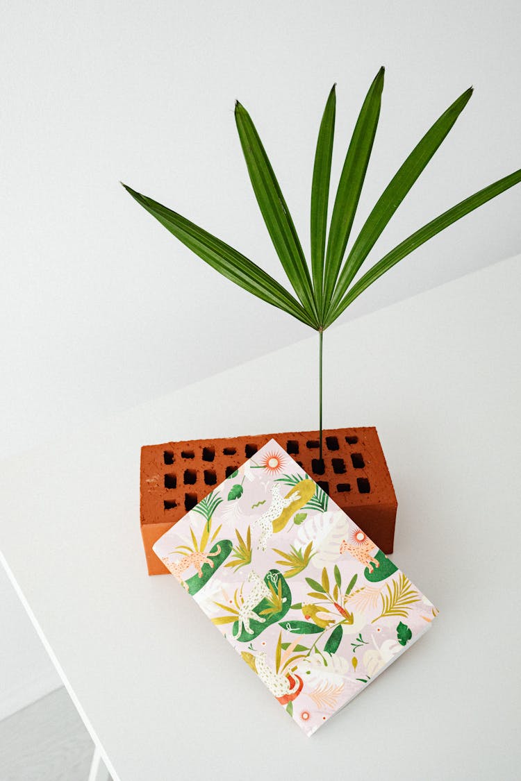 Green Plant On White Table