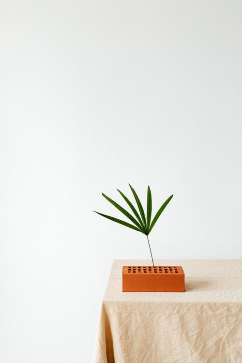 Free A minimalist composition featuring a single palm leaf in a terracotta brick vase on a fabric-covered table. Stock Photo