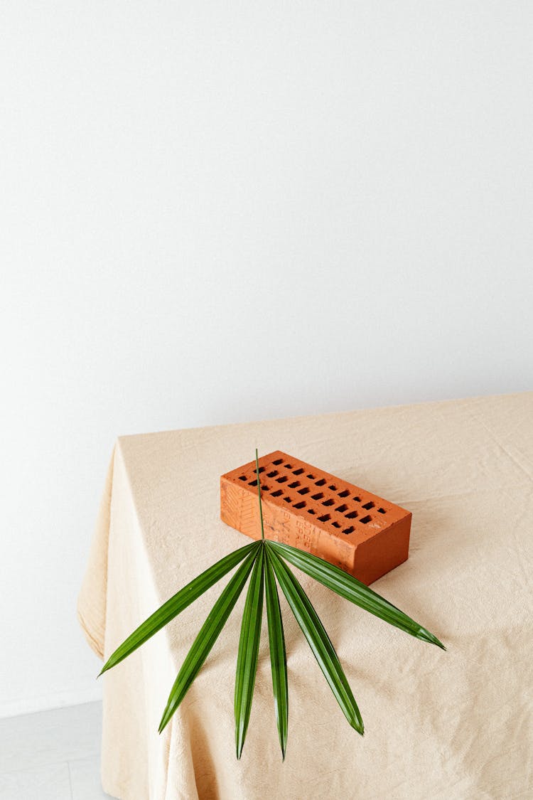 Green Leaf Plant On A Brick