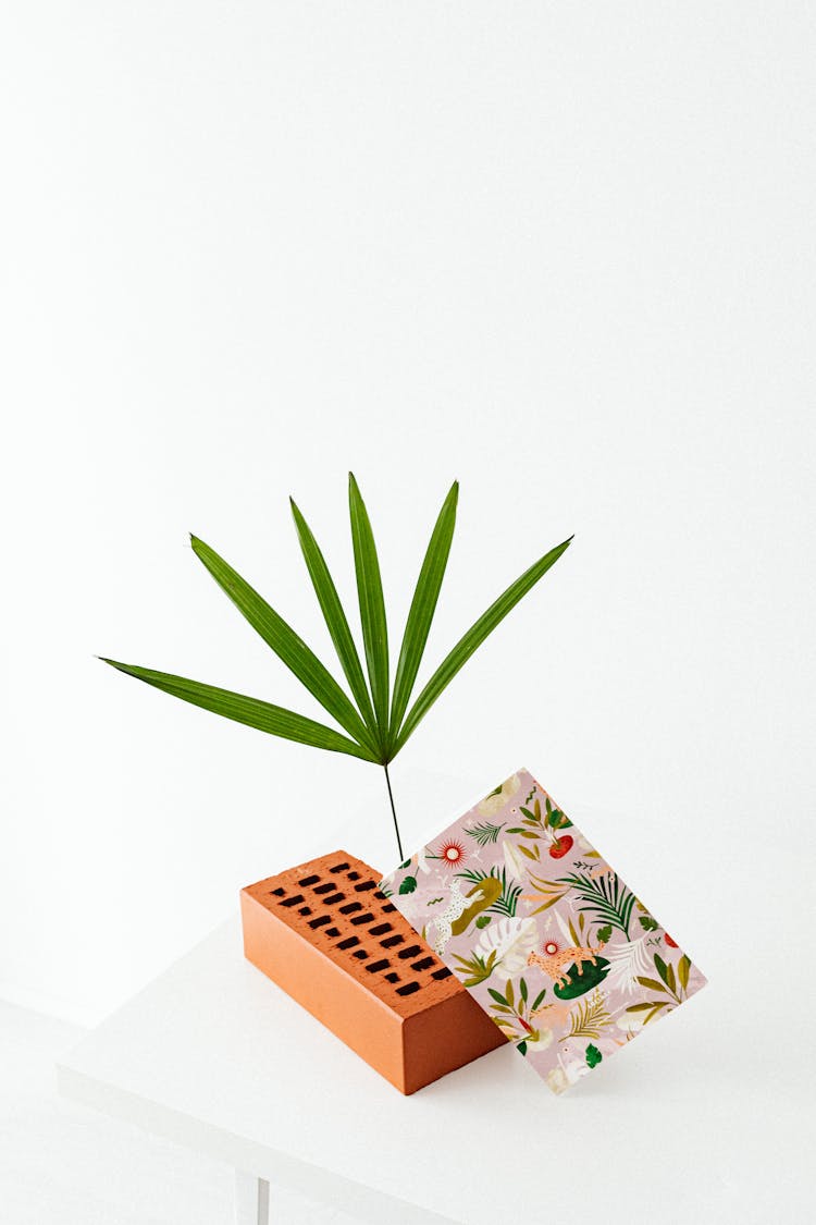 Leaf Plant On A Brick In The Table