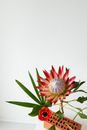 Pink and White Flower with Green Leaves
