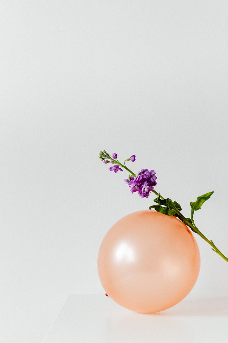 Purple Flower On Orange Balloon