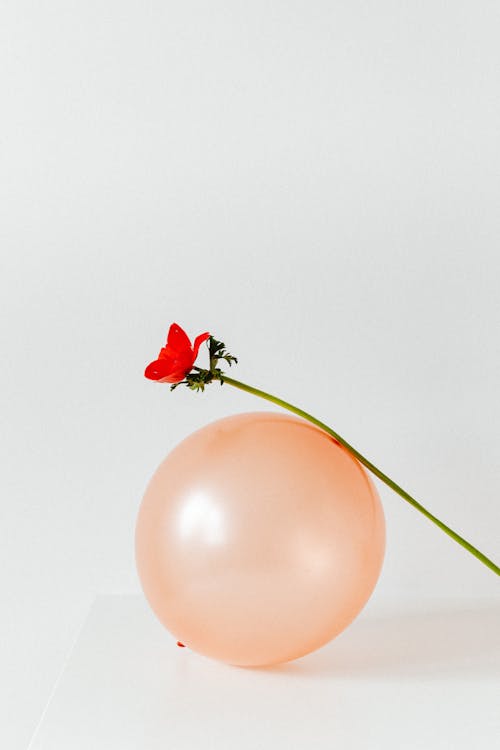 Free Red Flower on Orange Balloon Stock Photo