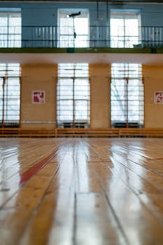 Sunlit empty gymnasium floor with vertical windows, showcasing a polished wooden surface.