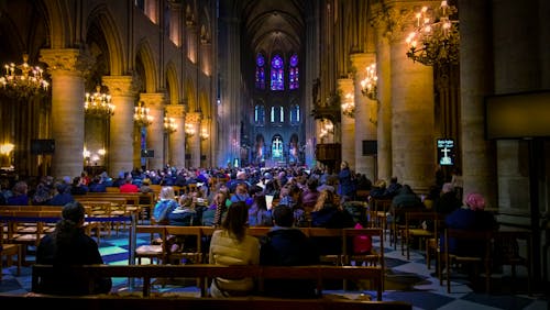 Free stock photo of candles, notre dame, worship