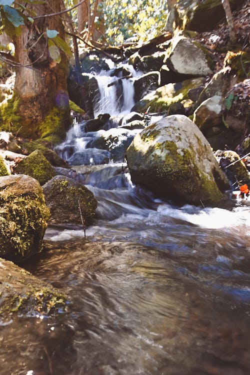 Foto profissional grátis de água, cachoeira, leito de pedras