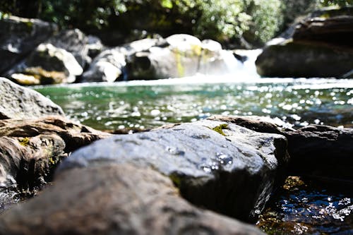 Foto profissional grátis de água, cachoeira, pedra