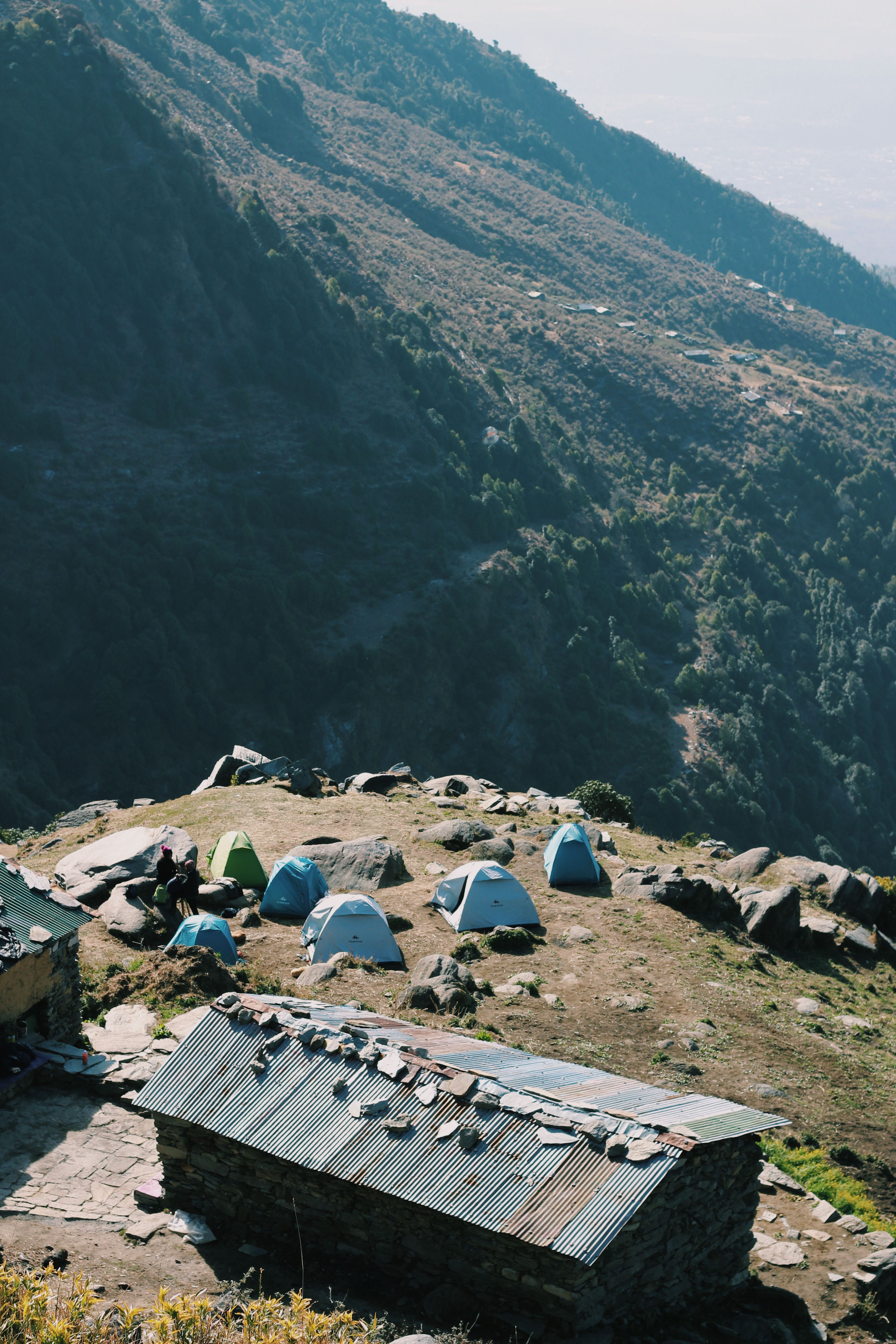 Camps