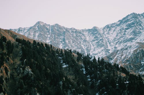 Foto profissional grátis de árvores, cadeia de montanhas, com frio