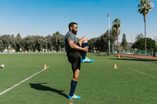 Legs / Feet Legs / Feet