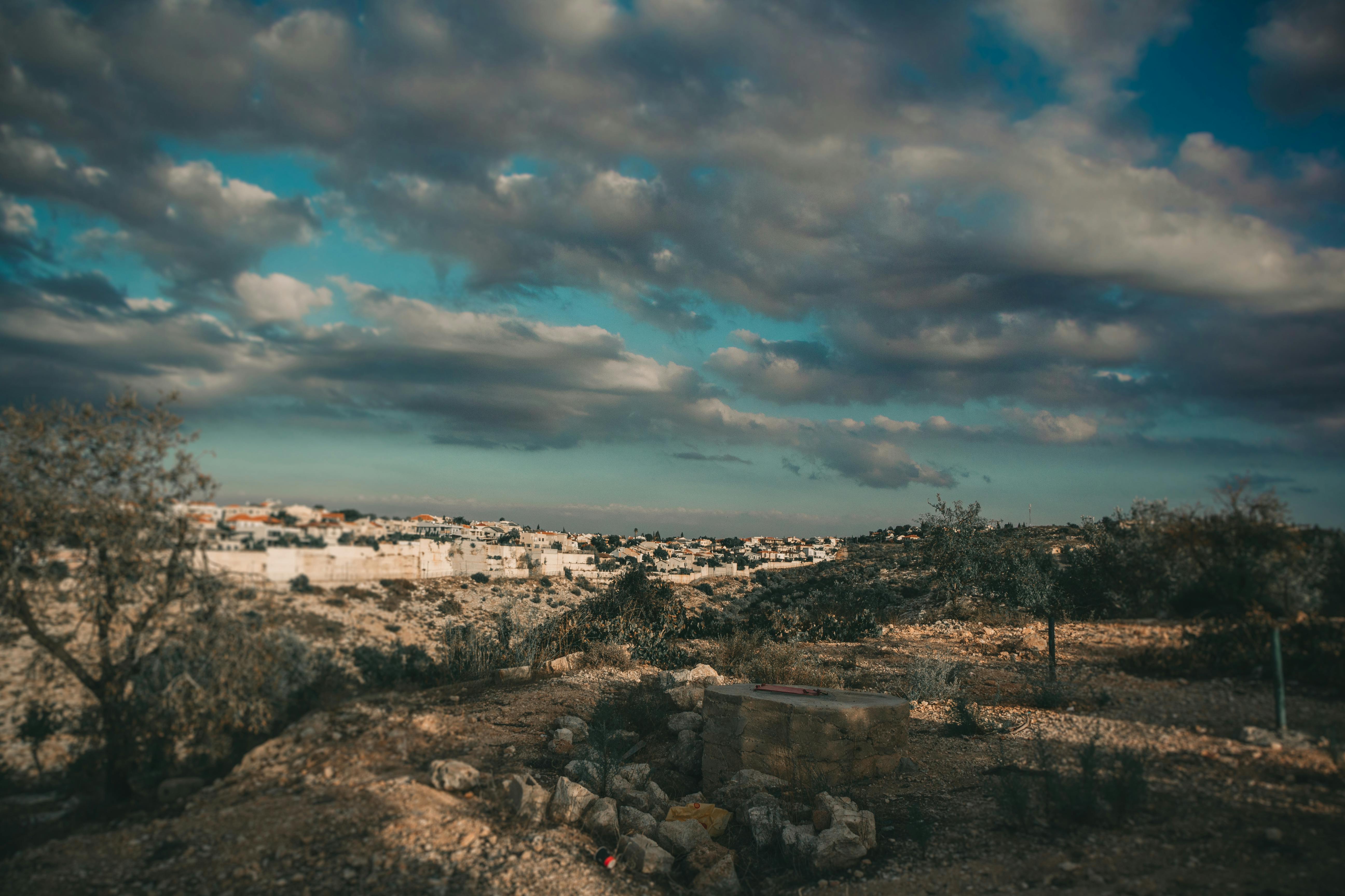 Free stock photo of #catstagram #catoftheday #kitten #cats_of_instagra