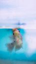 Aquarium fish aquatic gill bearing animal swimming in blue water under thin transparent plastic