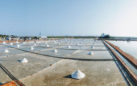 A vast view of salt pans under a clear sky, showcasing salt production outdoors.