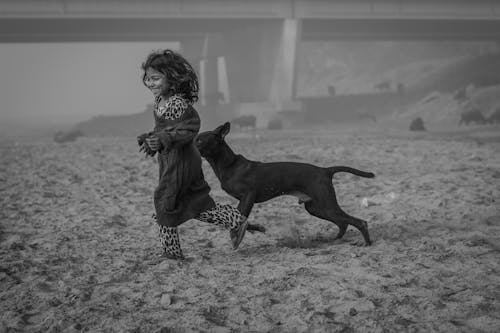 Foto profissional grátis de animal, animal de estimação, areia