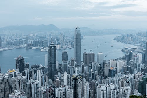 Aerial Shot of a Coastal City