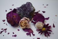 Dried flowers with petal pieces and crystals