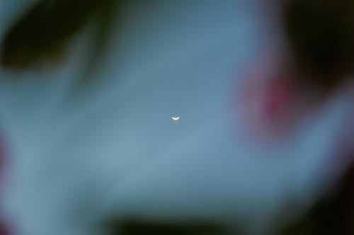 Gratis Immagine gratuita di cielo azzurro, fotografia della natura, luna crescente Foto a disposizione