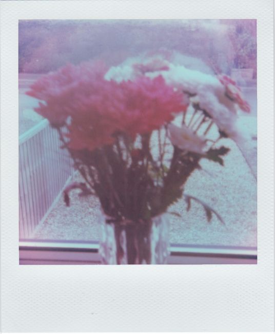 Blurred vintage-style Polaroid photo of a bouquet in a vase against a window backdrop.