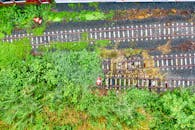 Railways Leading to Green Plants