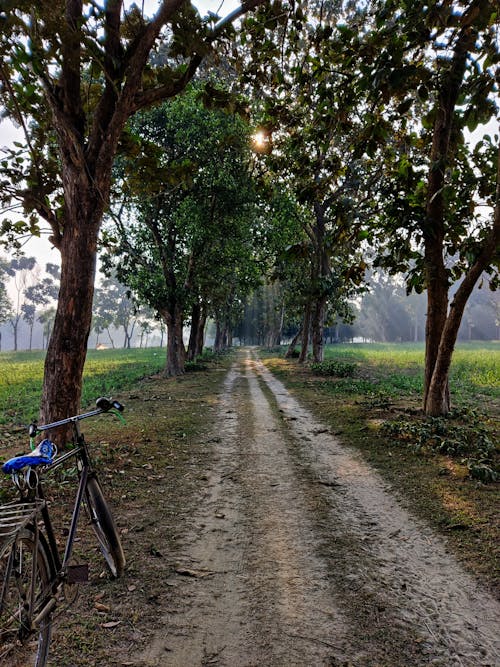 Free stock photo of bangladesh, green, mobile camera