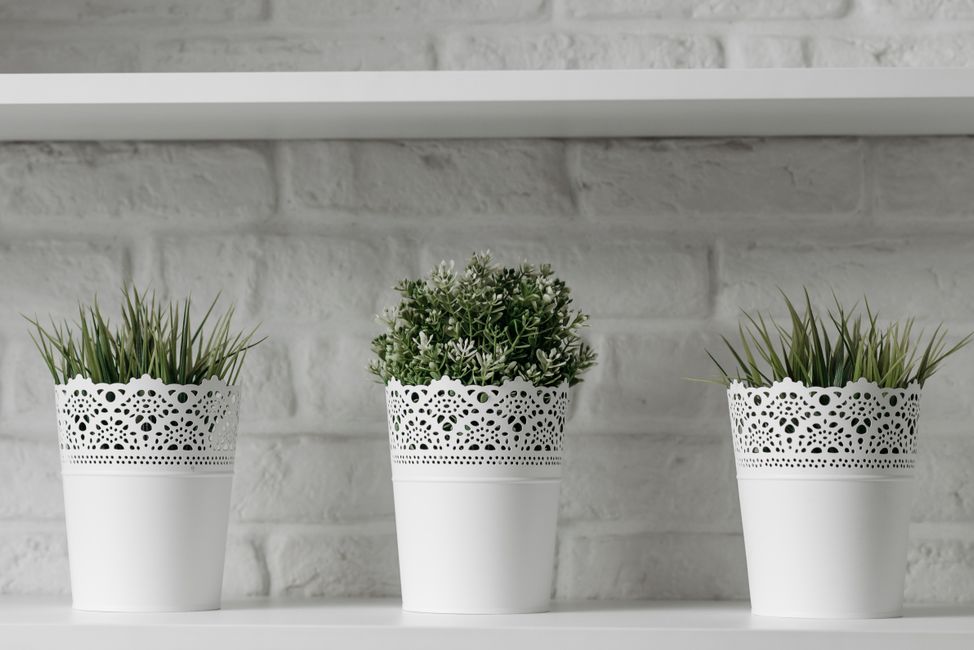 Quadros para sala: ideias, tamanhos e estilos incríveis