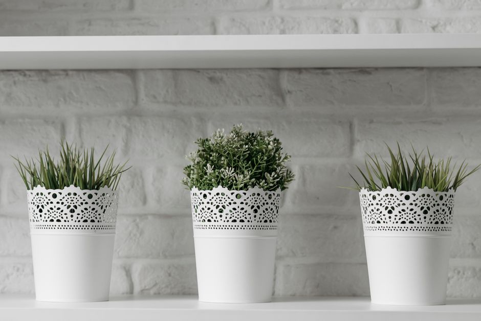 Q: What are some budget-friendly ways to add greenery to my home?
