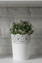 Free stock photo of asian, bright, container