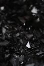 Black and White Leaves on Ground